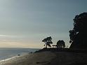 New_Zealand (1030)
